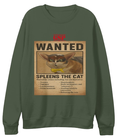Merch 2